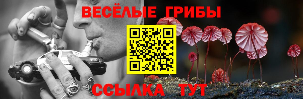 Псилоцибиновые грибы прущие грибы  Вход с VPN  Иваново  Псилоцибиновые грибы мицелий 